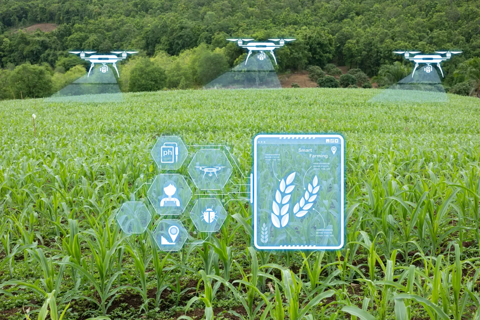 From Sensor Trigger to Drone in the Air: Field Sensors That Add Up to a Decision